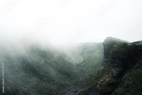fog in the mountains
