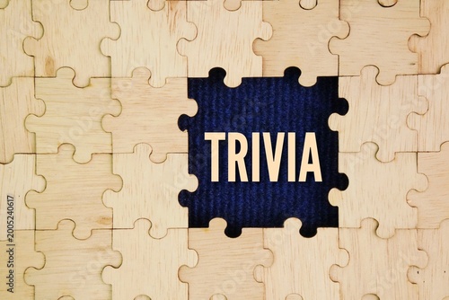 wooden puzzle with trivia words. details of information of little importance or value. unimportant, insignificant, or obscure details and facts, often used in games to test knowledge
