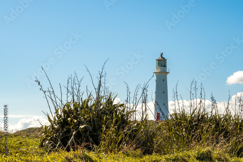 lighthouse on the coast
