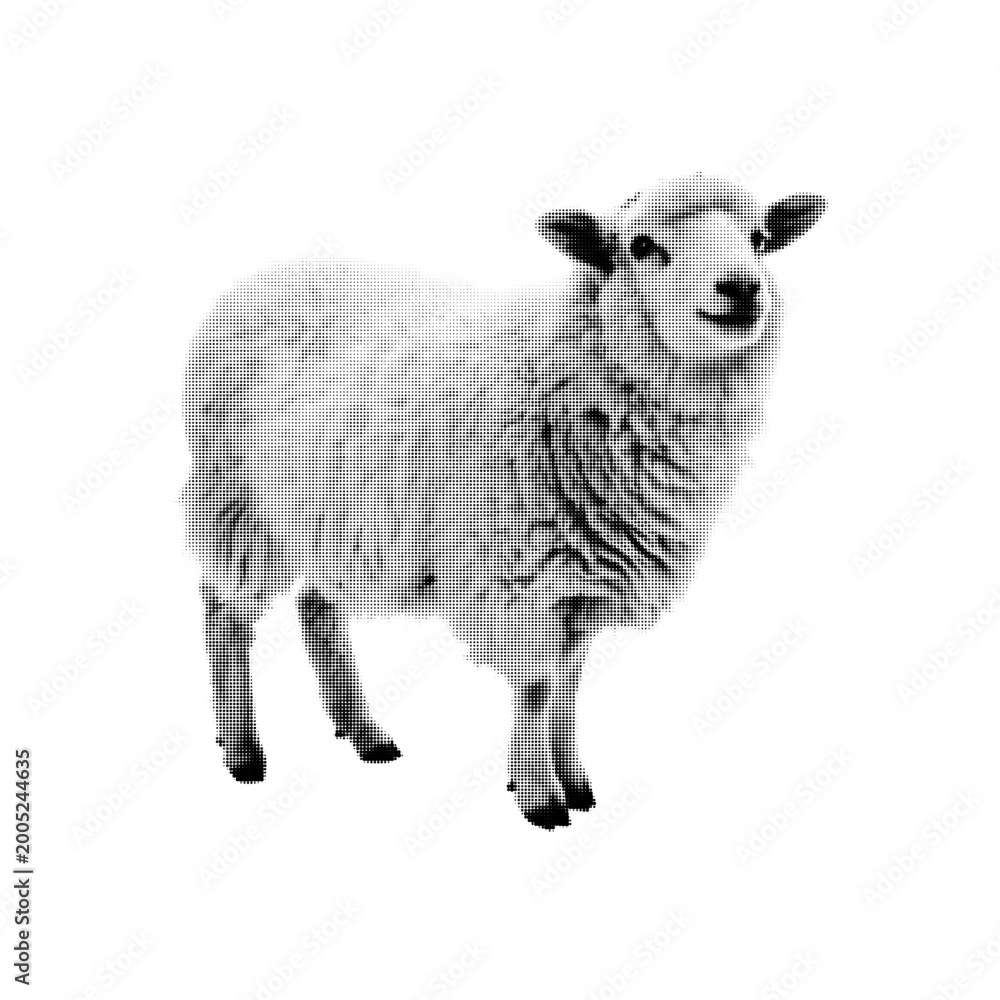 Fototapeta premium Black and white halftone illustration of sheep, farm animal isolated on white background, detailed wool texture in retro print style.