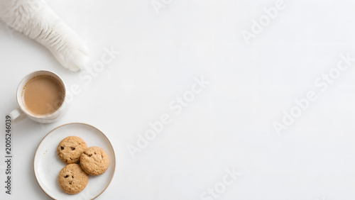 Minimalist cafe flat lay with coffee, cookies, and a white Persian cat paw on white table with copy space