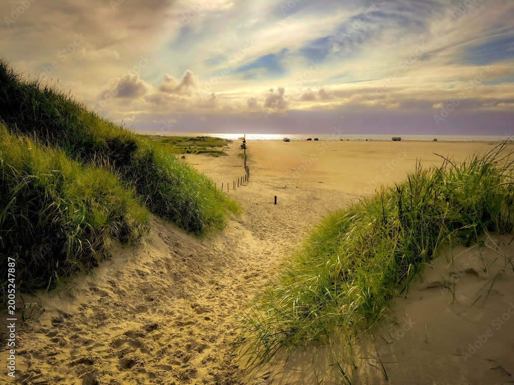 Fototapeta premium Lakolk beach, the best beach on Rømø 