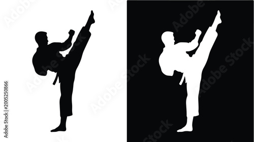Cuadro en lienzo Silhouettes of martial arts athletes kicking in black and white backgrounds
