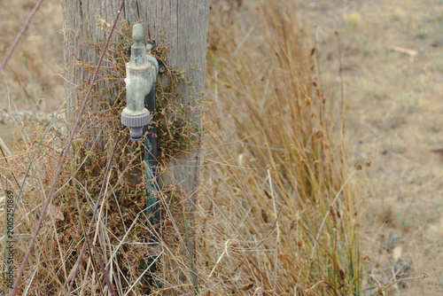 Billede på lærred rustic landscape with old tap on farm fence post and dry grass in field