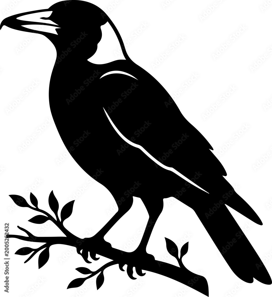 Fototapeta premium Australian magpie silhouette vector illustration