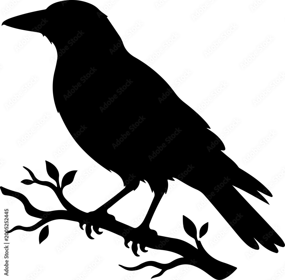 Fototapeta premium Australian magpie silhouette vector illustration