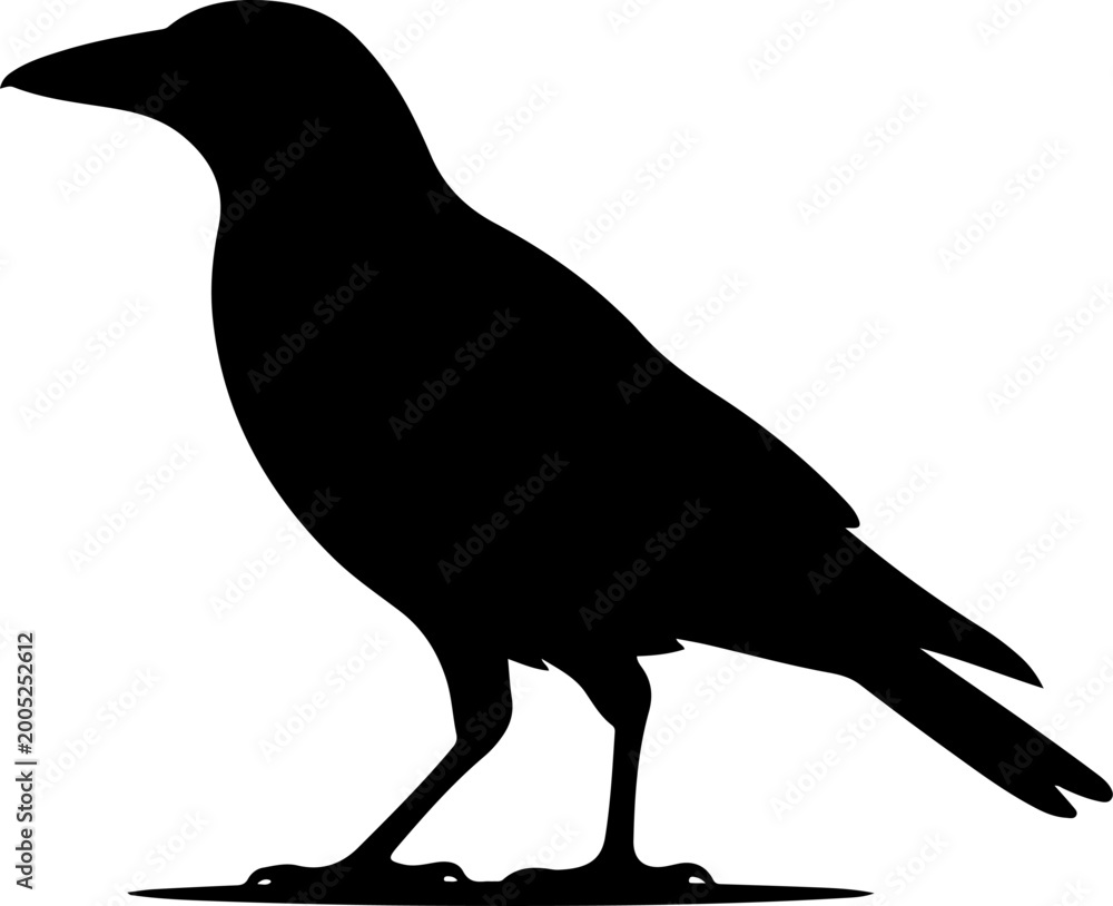 Fototapeta premium Australian magpie silhouette vector illustration