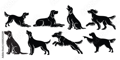 Fotografie Set of English Setter Dogs Silhouettes in Different Poses
