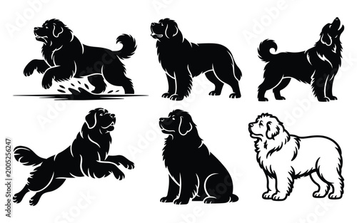 Bild auf Leinwand Newfoundland Dog Silhouette Set Vector Collection | Giant Working Water Rescue B