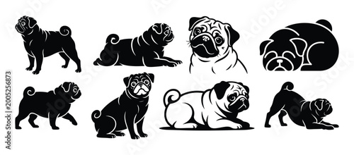 Pug Dog Silhouette Set Vector Collection | Cute Wrinkled Toy Breed Outline Bundle