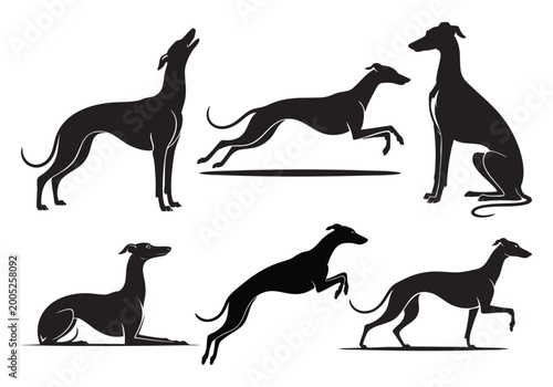 Schilderij op canvas Whippet Dog Silhouette Set Vector Collection | Elegant Sighthound Running Poses