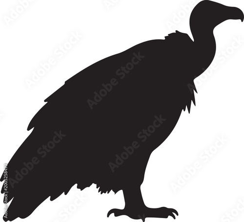 Bilde på lerret Vulture Bird Silhouette Vector Illustration Isolated On White Background