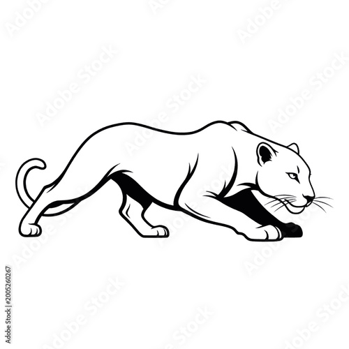 Schilderij op canvas Stylized illustration of a black panther in a stalking pose, isolated on a white background