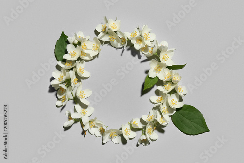 Frame made of beautiful jas...