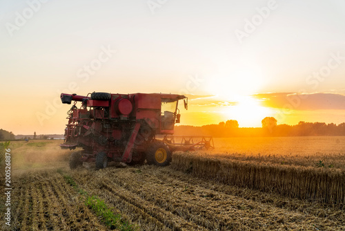 The combine is harvesting the wheat in the evening