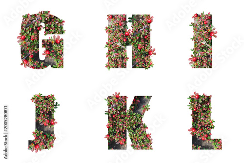 Alphabet letters made from natural elements with red berries