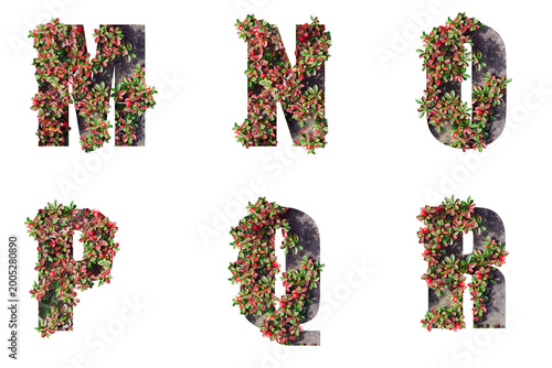 Alphabet letters made from natural elements with red berries