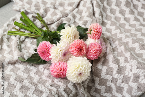 Bouquet of beautiful dahlia...