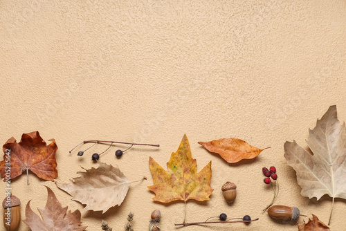 Composition with beautiful ...