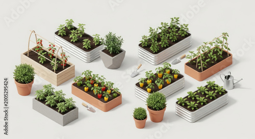 Isometric view of various potted plants and planters with gardening tools