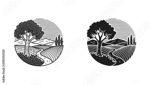 Quadro em tela Serene Tuscan landscape with rolling hills fields tree and winding road in circu
