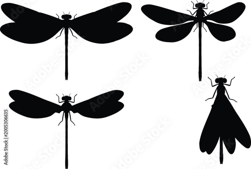 Tableau sur toile Damselfly insect vector illustrations