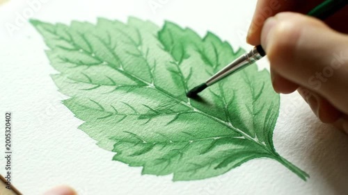 Artist Painting Green Leaf Watercolor Detail Close Up