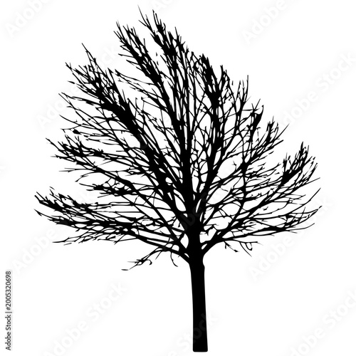 Принти на полотні Black silhouette of a bare winter tree against a white background