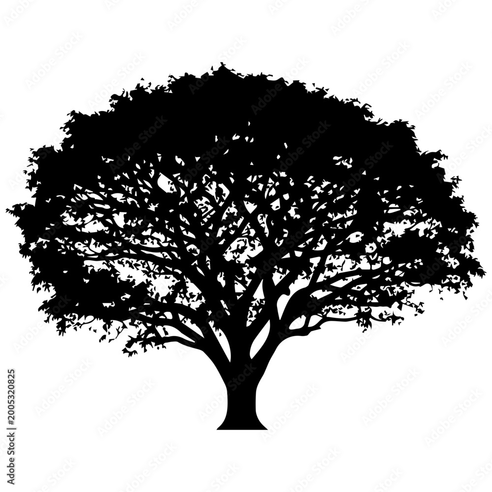 Fototapeta premium Silhouette of a Majestic Tree with Lush Canopy Against White Background