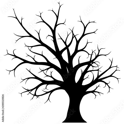 Slika na platnu Bare Tree Silhouette, Intricate Branches Against White Background