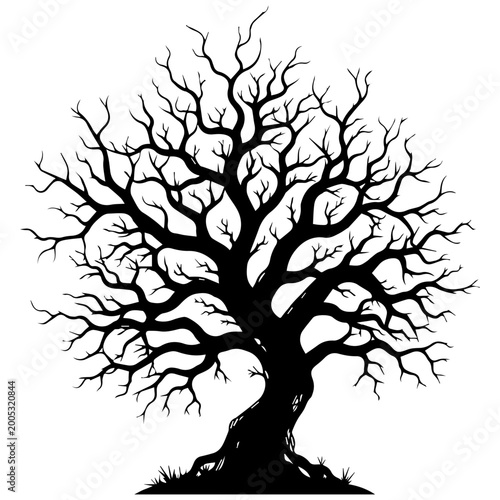 Tableau sur toile Black and white silhouette of a gnarled, leafless tree against a white backgroun