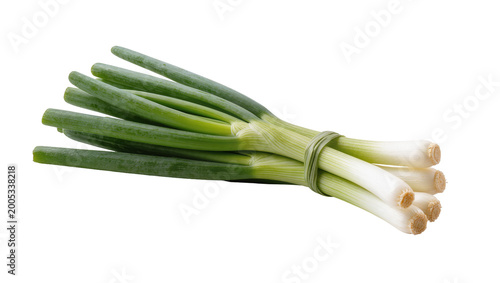 Photos Bound Fresh Green Spring Onions with Root Ends