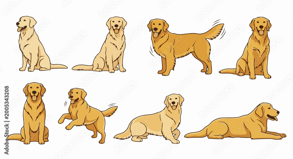 Fototapeta premium Collection of golden retriever dogs in various playful poses