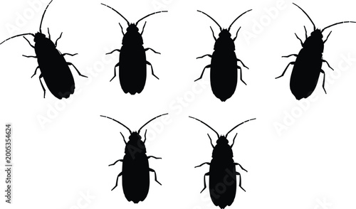 Tableau sur toile Black silhouette illustration of booklice insects