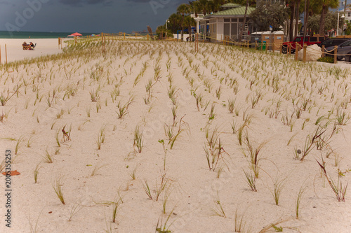 Fotografija Coastal Sand Dunes With Newly Planted Beach Grass Sea Oats Along Quiet Shoreline Under Cloudy Sky Sunset Beach Treasure Island, FL
