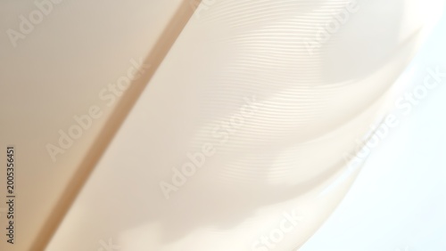 Delicate white feather showcasing intricate textures under natural sunlight.