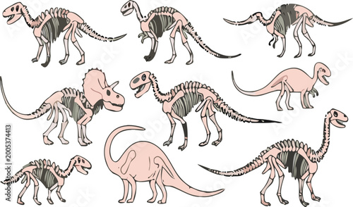 Foto Dinosaur skeleton vector set featuring different prehistoric species with detail
