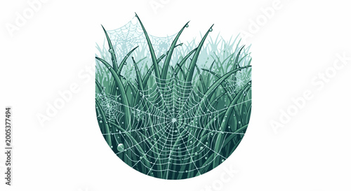Delicate spiderwebs adorned with dew drops on green grass blades