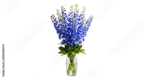 A clear vase holds a vibrant bouquet of blue flowers on a transparent background