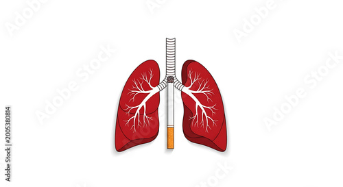 lungs with cigarette illustration on white background high quality professional detailed