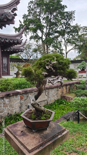 Traditional Chinese Garden With Bonsai Trees And Ornate Pavilions Photo