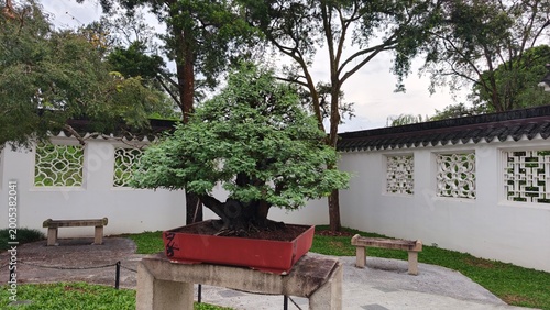 Traditional Chinese Garden With Bonsai Trees And Ornate Pavilions Photo