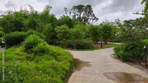A beautiful park scene in public park with green grass field and green tree