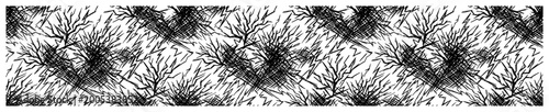 Foto Horizontal banner border with thorny branches and thicket textures in scratchy m