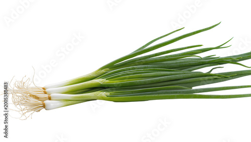 Foto Fresh Green Bunch of Spring Onions with Root System