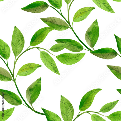 Branch with green leaves, watercolor seamless pattern. Lush, vibrant, hand drawn foliage, isolated. Illustration of plants and herbs for packaging, wrapping, fabric, and cosmetics.