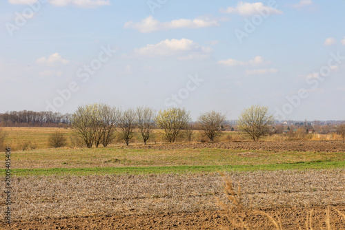 Panoramic rural landscape shows wide fields with patches of winter crops and freshly plowed soil under a gentle spring sky. 