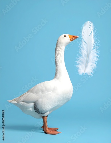 White goose with a feather against a pastel blue background