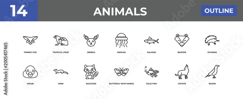 Quadro su tela outline animals icons set - fennec fox, tropical frop, coyote