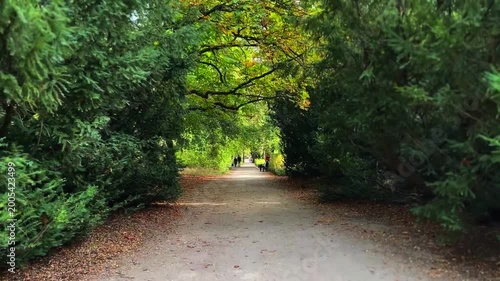 Horizontal POV walk in a green park with autumn leaves on the ground and a squirrel crossing the path